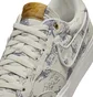 Кросівки унісекс Nike Zoom Pogo Plus Premium Sb Beige FQ1882-100