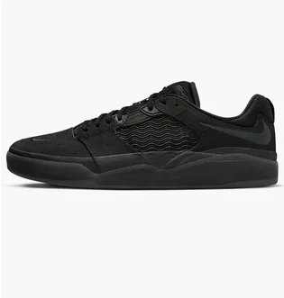 Кроссовки мужские Nike Sb Ishod Wair Premium Black Dz5648-001
