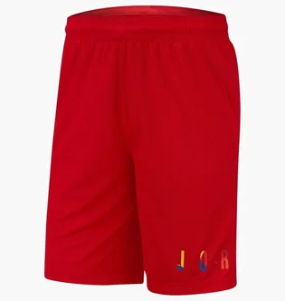 Шорти жіночі Nike Dna Shorts Red AV0114-657