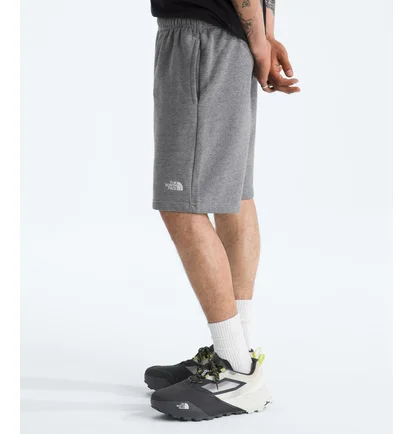 Шорты мужские The North Face Evolution Grey NF0A8CWWCQI
