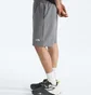 Шорты мужские The North Face Evolution Grey NF0A8CWWCQI