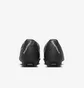 Бутсы унисекс Nike Mg Phantom Gx 2 Academy White/Black FD6723-100