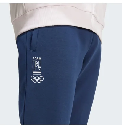 Штаны мужские Adidas Poland Future Icons Blue JF6683