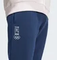 Штаны мужские Adidas Poland Future Icons Blue JF6683