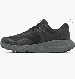 Кроссовки мужские Columbia Black 2099811012