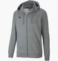 Толстовка мужская Puma Teamgoal 23 Casuals Hooded Jacket Grey 65670833