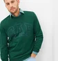 Світшот чоловічий Gap Logo Sweatshirt Green 457230011