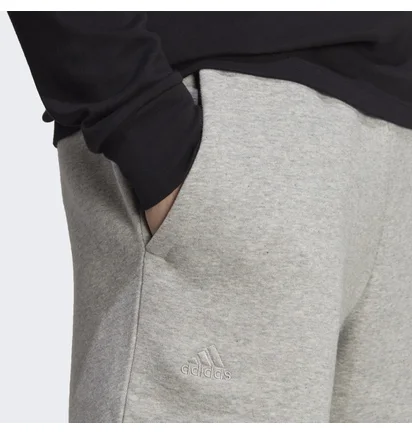Шорты мужские Adidas All Szn Fleece Graphic Shorts Grey IC9796
