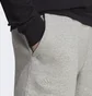 Шорты мужские Adidas All Szn Fleece Graphic Shorts Grey IC9796