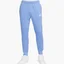 Штаны мужские Nike Sportswear Club Joggers Light Blue BV2679-450