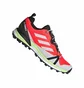 Кроссовки мужские Adidas Terrex Skychaser Lt Gtx Red/Grey EH2426