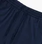 Штаны мужские Saucony Triumph Pant Blue SAM800371-NVH