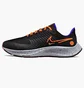 Кроссовки мужские Nike Air Zoom Pegasus 38 Shield Black DC4073-003