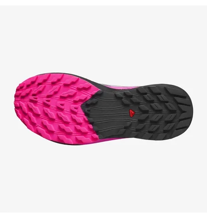 Кроссовки женские Salomon Sense Ride 5 Violet/Grey L47385900