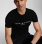 Футболка чоловіча Tommy Hilfiger Est. 1985 Black 78J6318-P8F-BLACK