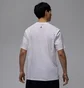 Футболка мужская Air Jordan Df Gfx Ss Crew White HQ8966-100