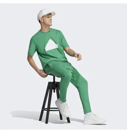 Штани чоловічі Adidas Future Icons Badge Of Sport Pants Green IC3763