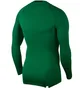 Термобілизна чоловіча Nike Pro Longsleeve Compression Green 838077-302