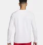 Лонгслив мужской Nike Lebron Long-Sleeve T-Shirt White FQ4908-100