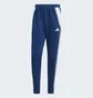 Штаны мужские Adidas Tiro 24 Sweat Tracksuit Bottoms Blue IS2154