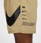 Шорти чоловічі Nike Specs 7-Inch Swim Shorts Beige NESSF508-241