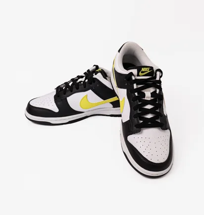 Кроссовки мужские Nike Dunk Low Black/White FQ2431-001