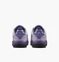 Кроссовки мужские Nike Sb Vertebrae Violet FD4691-501