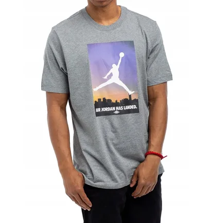 Футболка мужская Air Jordan 23 Grey CU2839-091