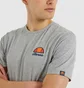 Футболка мужская Ellesse Canaletto Tee Grey SHS04548-112