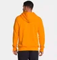 Худи мужское The North Face Half Dome Po Hoodie Yellow NF0A4M4BZU3