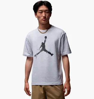 Футболка мужская Air Jordan Brooklyn Grey HQ8925-051