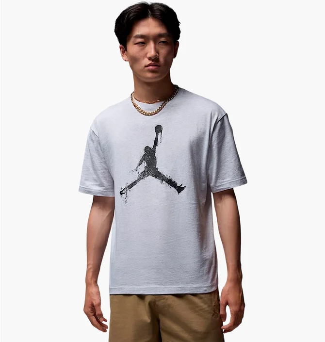 Футболка мужская Air Jordan Brooklyn Grey HQ8925-051
