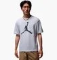 Футболка мужская Air Jordan Brooklyn Grey HQ8925-051