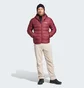 Пуховик чоловічий Adidas Terrex Multi Light Down Hooded Red IP6040