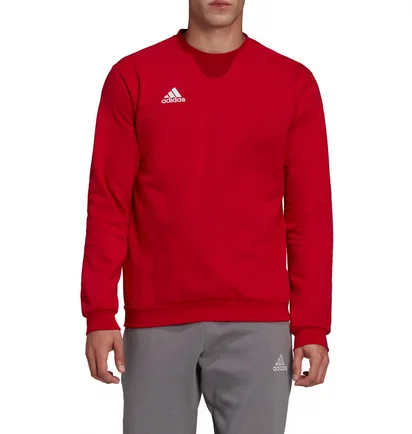 Свитшот мужской Adidas Sweatshirt Ent22 Sw Top Red HB0577