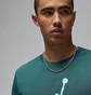 Футболка мужская Air Jordan Flight Hbr Tee Green AO0664-366