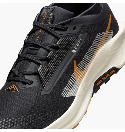 Кроссовки мужские Nike Pegasus Trail 5 Gore-Tex Black FQ0908-007