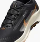 Кроссовки мужские Nike Pegasus Trail 5 Gore-Tex Black FQ0908-007