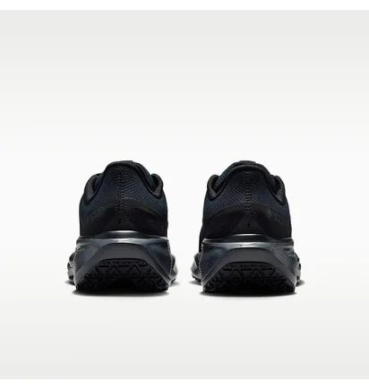 Кросівки чоловічі Nike Pegasus 41 Gore-Tex Waterproof Road Running Black FQ1357-001