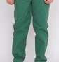 Штаны мужские Ripndip Barry Bonds Pants Green RND9723