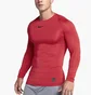 Термобілизна чоловіча Nike Pro Top Ls Red 838077-657