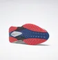 Кросівки чоловічі Reebok Floatride Energy 5 Grey GY0073