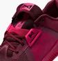 Кроссовки мужские Nike Metcon 10 Bordo/Pink HJ1875-600