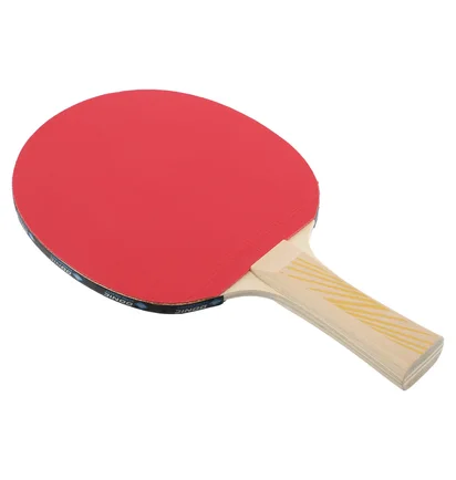 Ракетка для настольного тенниса Donic Legends 150 Fsc Black/Red 705211