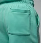 Шорти чоловічі Air Jordan Ess Flc Short Lb Turquoise FQ4534-349