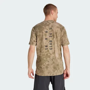 Футболка мужская Adidas Power Graphic Beige JX6286