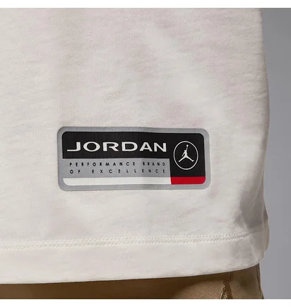 Футболка чоловіча Air Jordan Ess Ovsz Ss Crew White HJ2366-133
