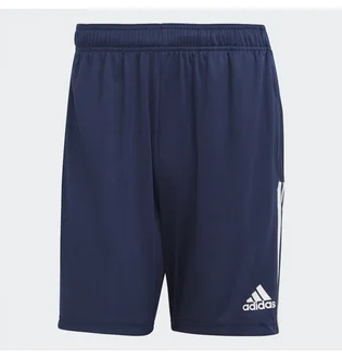 Шорты мужские Adidas Tiro21 Tr Sho Blue Gh4471
