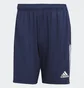 Шорты мужские Adidas Tiro21 Tr Sho Blue Gh4471