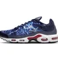 Кроссовки мужские Nike Air Max Plus Eclair Lightning MenS Shoes Blue/Grey HV2323-400